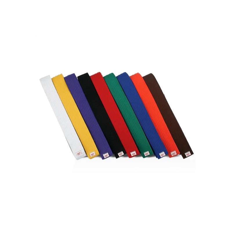 jiu jitsu and karate Belt